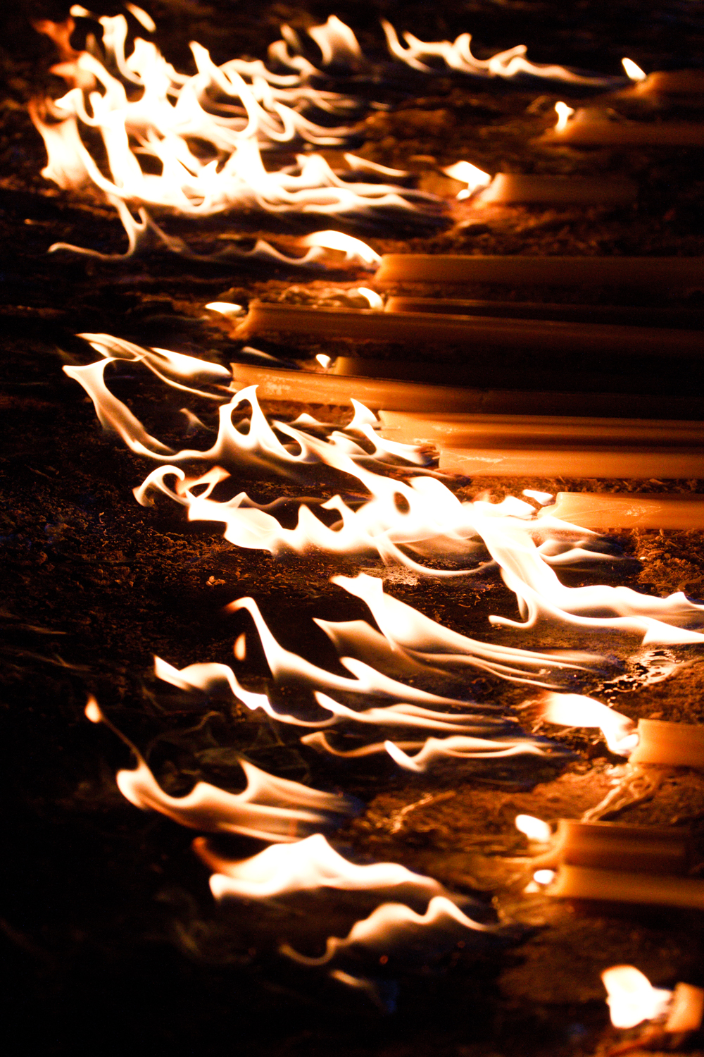 Fotografia di Francesco Nicosia