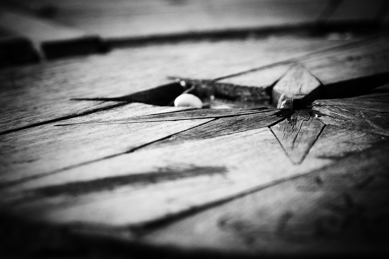 Fotografia di Francesco Nicosia